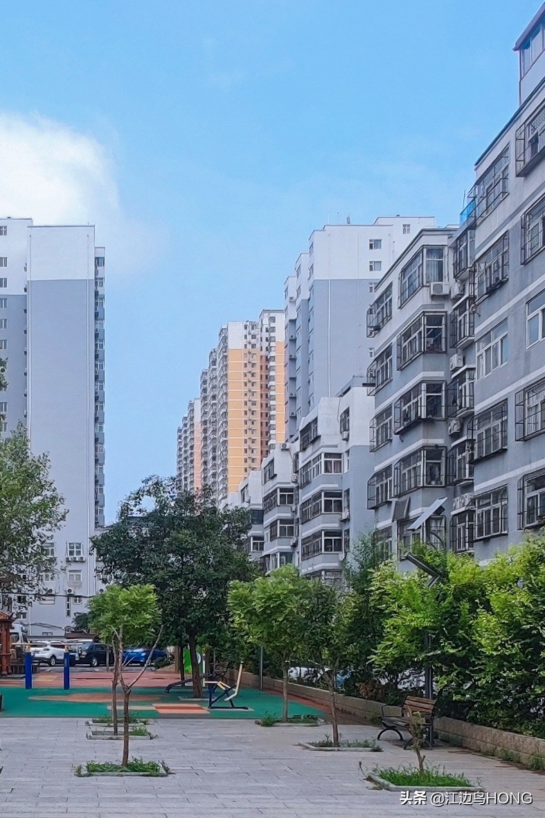 小米11 Ultra照片画质及拍片中的几个问题