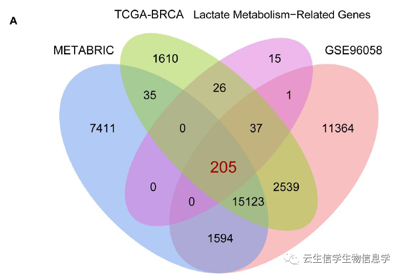 肿瘤代谢预后模型构建+简单验证=6分+，紧贴3大热点，轻松成文