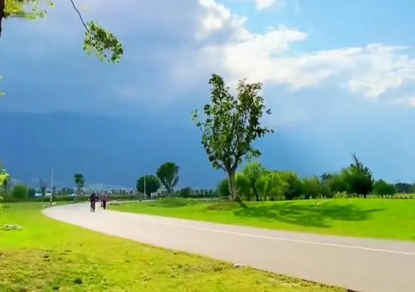 你是我的独宠，我是你的专属；余生，追随着你相伴到老