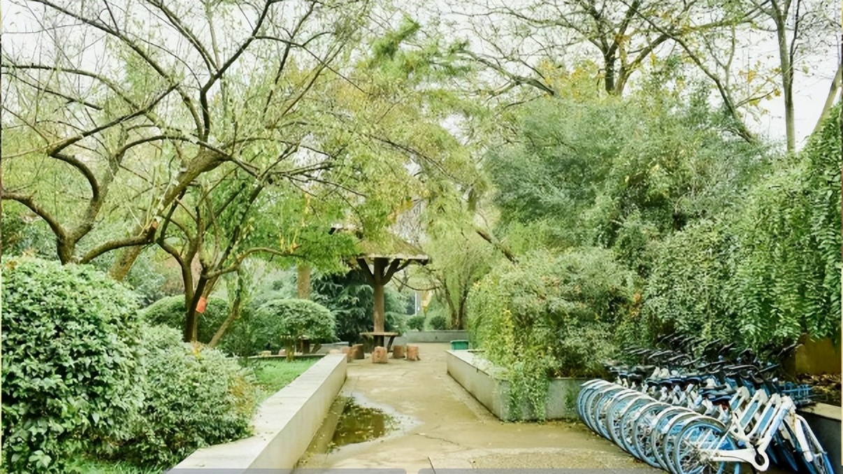 超强攻略来袭！湖北这所大学风光绝美，还有多个“爆款”打卡地