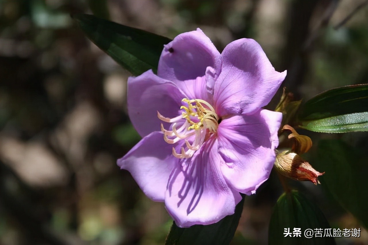 成长的代价，是孤独，是一个慢慢变得沉默的过程