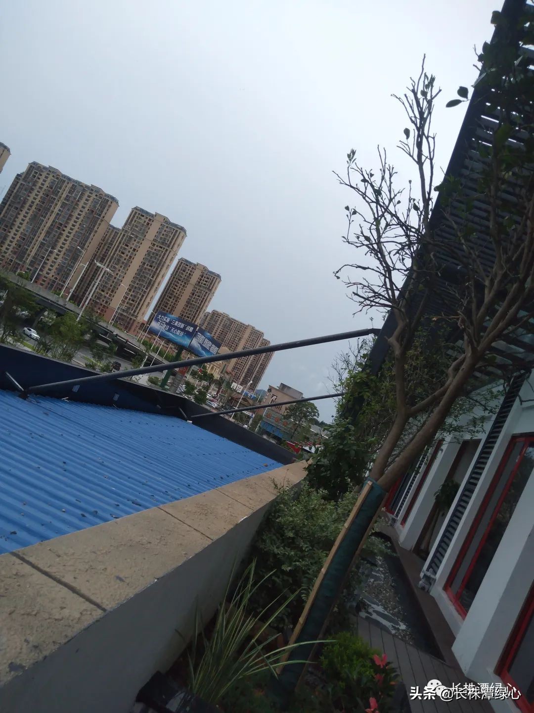 原来长沙暮云片区花之林总部大厦是这样的