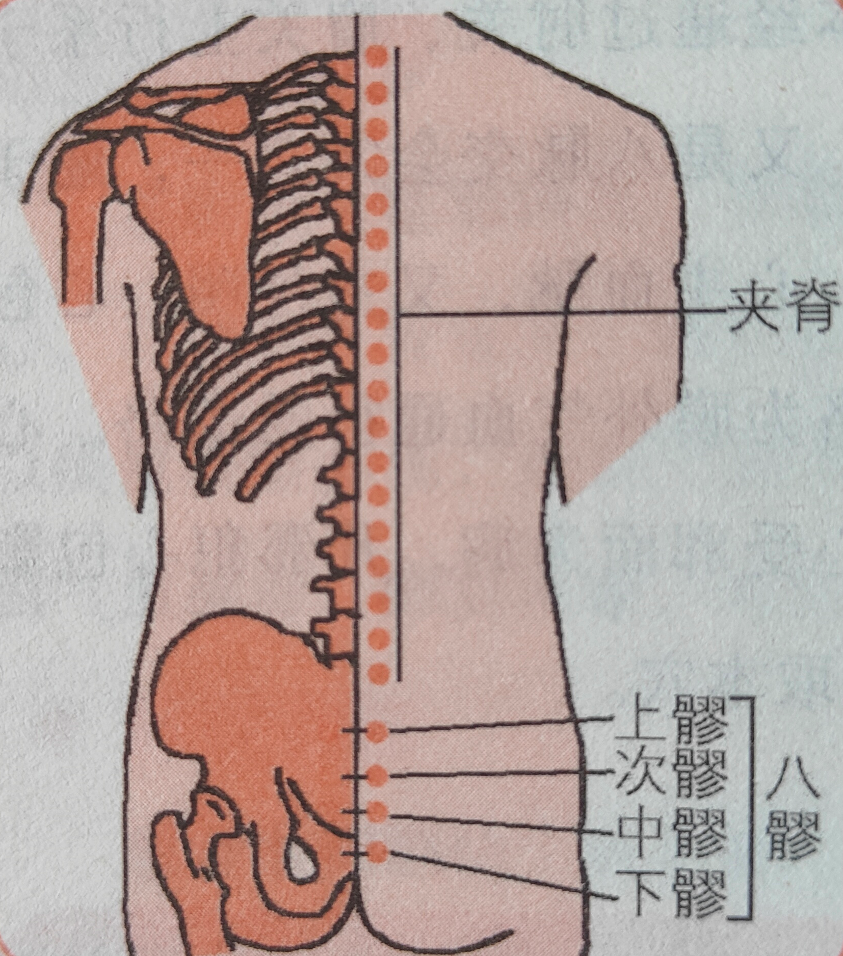 经常按揉这几个地方，可以有效预防和缓解高血压