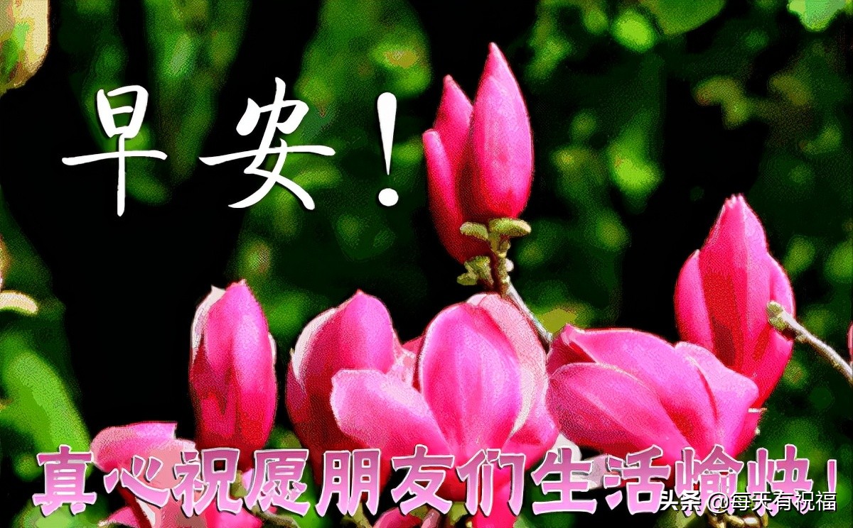 2022���Ϻ���ĩ���ף���� ����ʮ������ף�����ʺ�ͼƬ��ܰ���