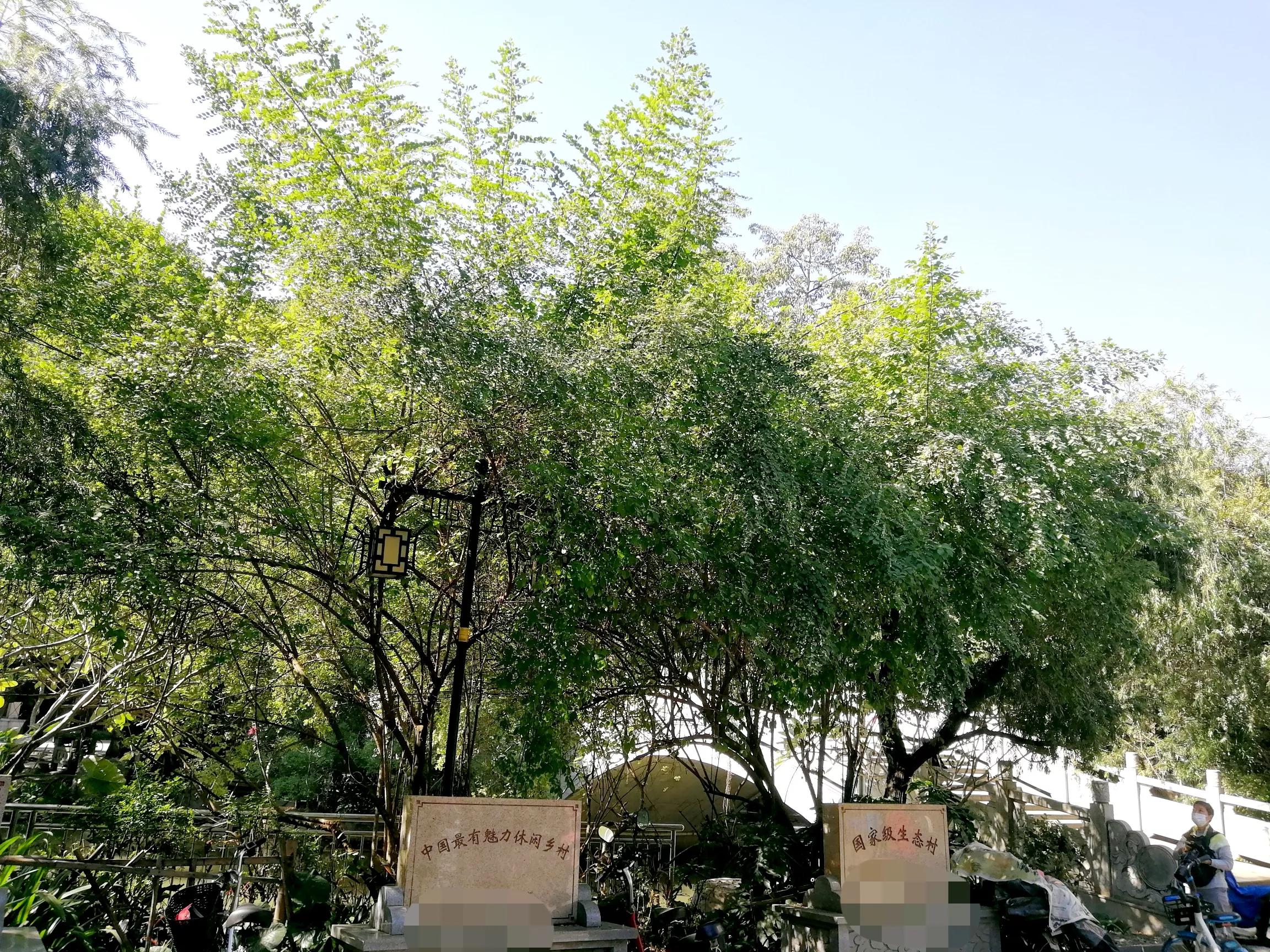 地铁4号线大学城游玩攻略，领略那不一样的广州大学城风光（C篇）