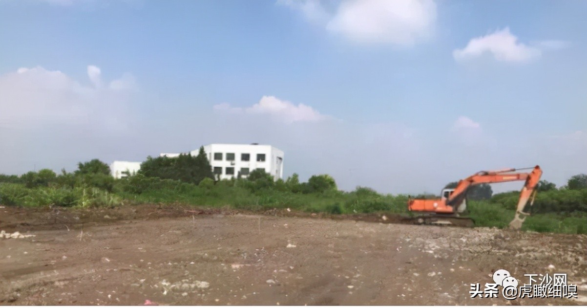 杭州下沙大学城北历史、现状及未来趋势的深度分析