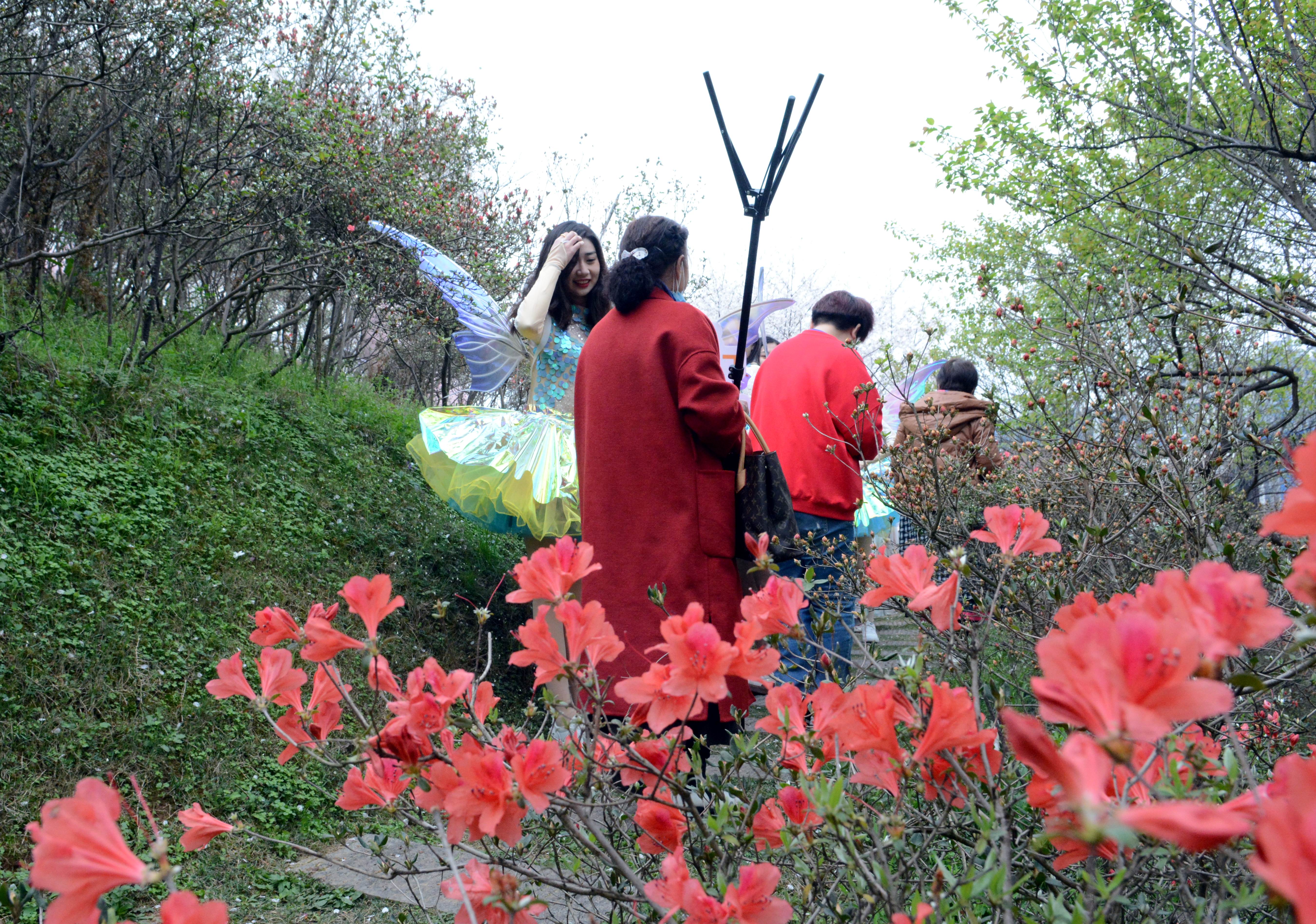 “樱花灿漫是此时”：长沙岳麓区晚安家居文化园启动樱花节