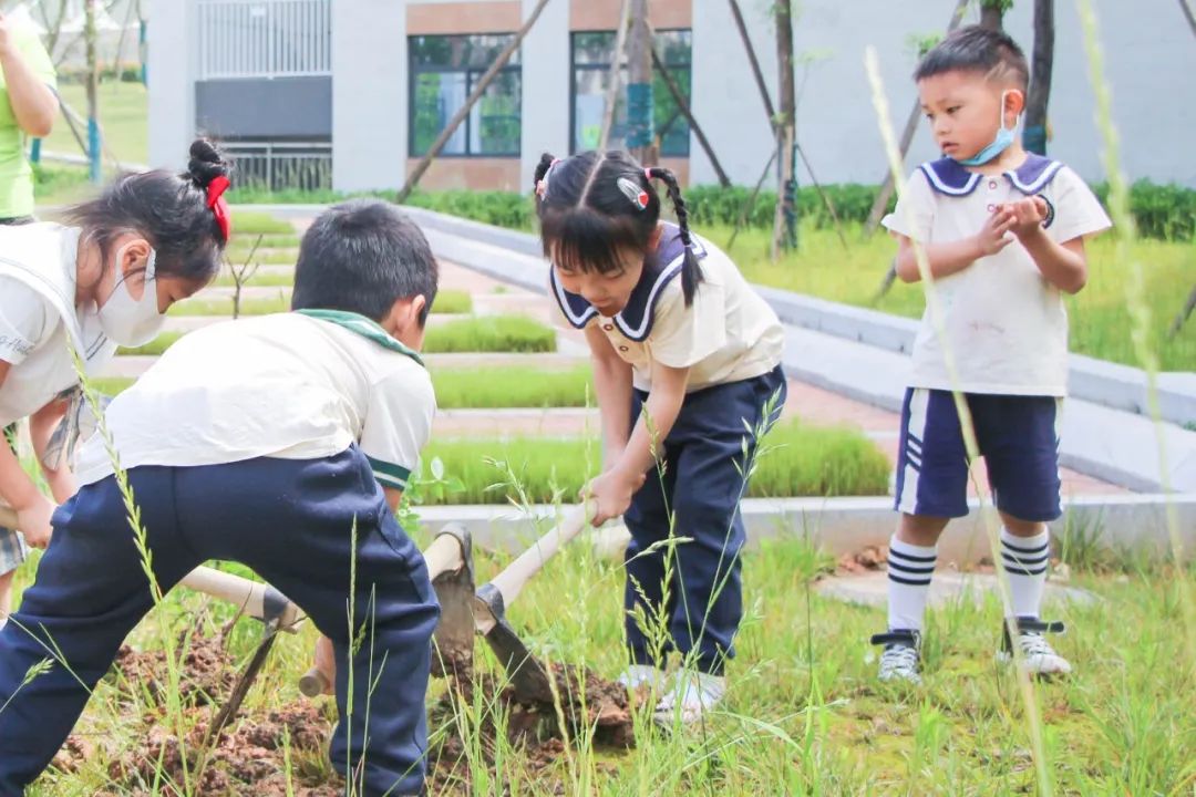 成都市双流区黄甲小学携手黄甲幼儿园开展手拉手幼小衔接活动