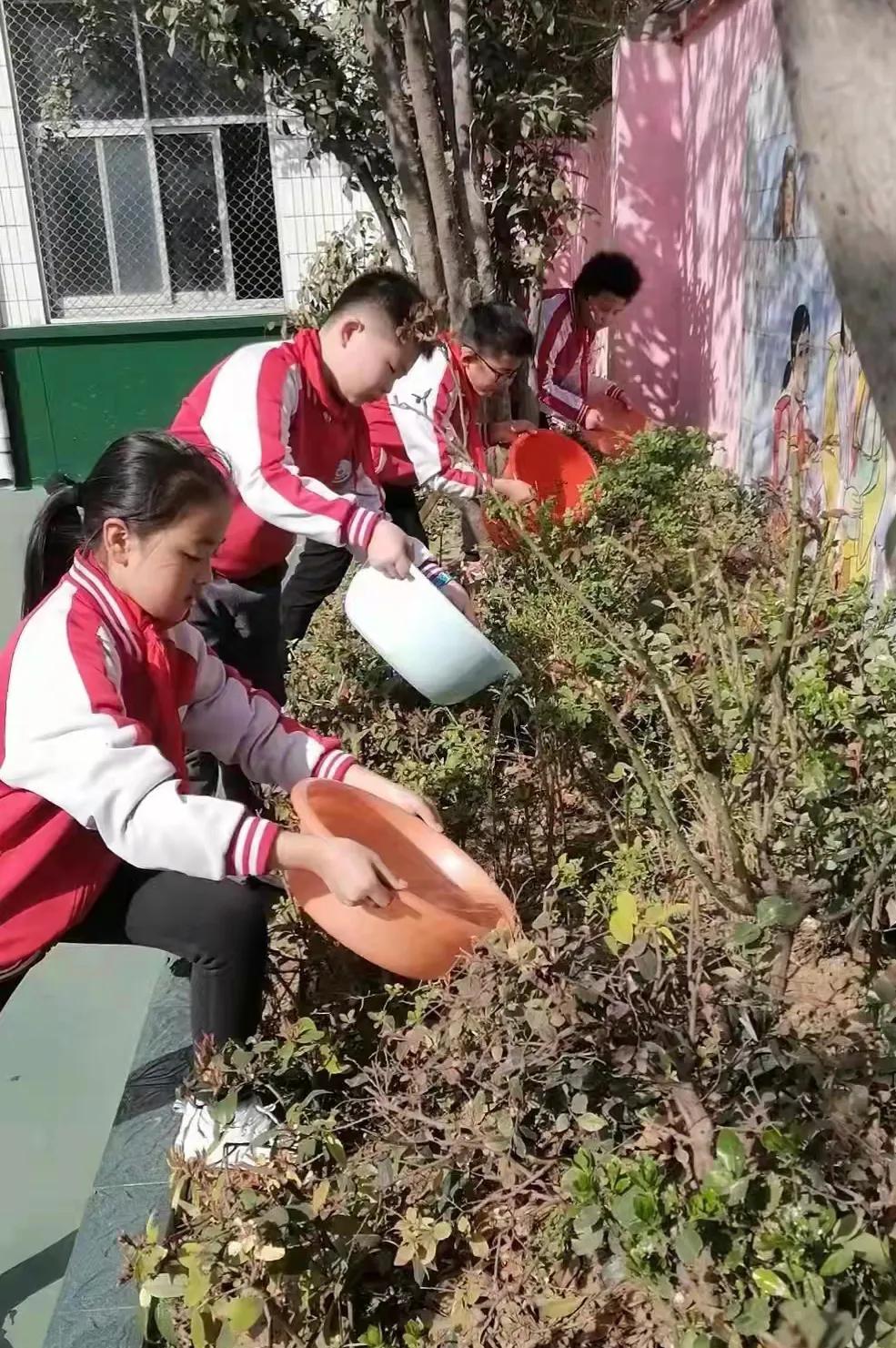 确山县第二小学学雷锋月实践活动纪实(图5)