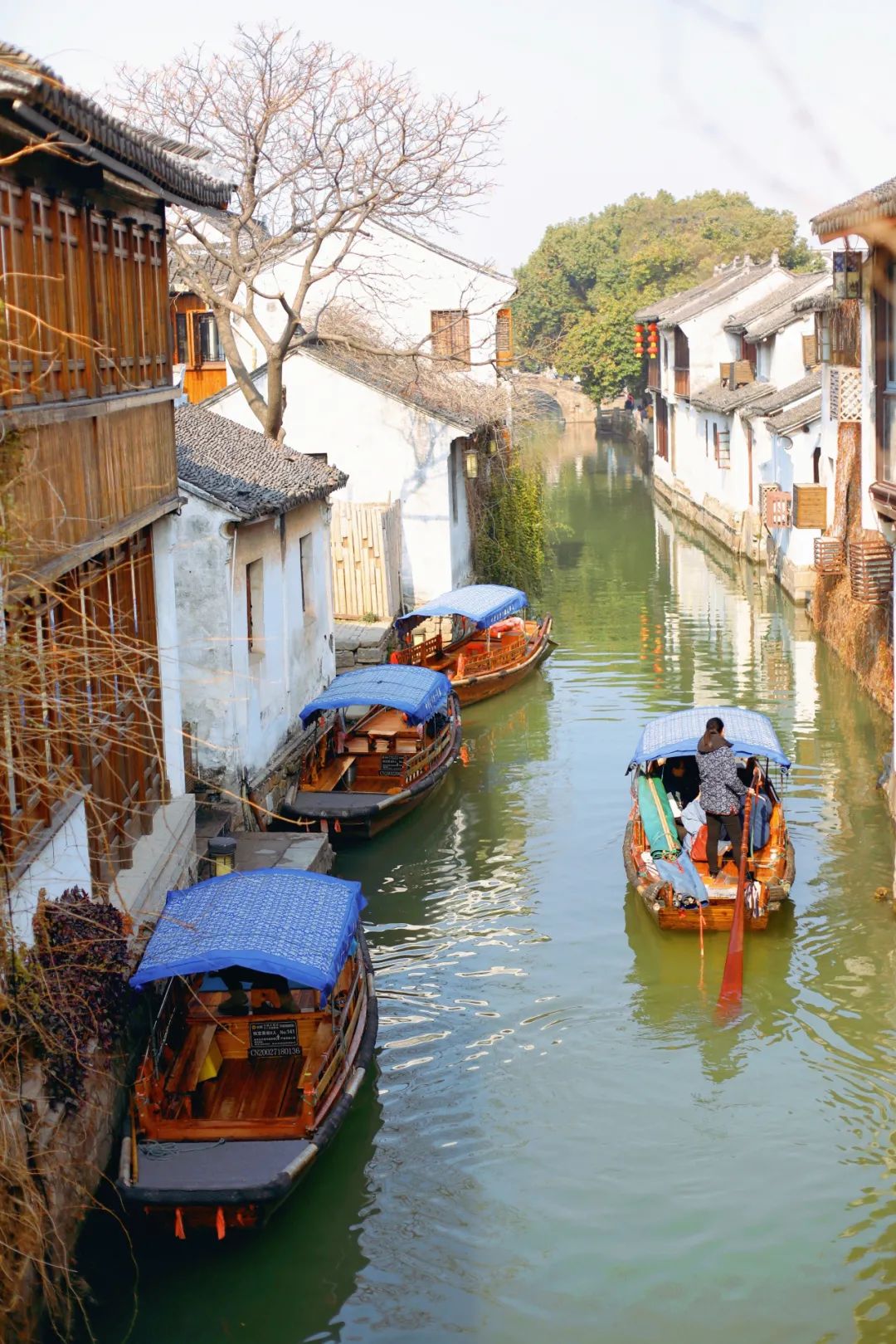 蘇州周莊古鎮有哪些不容錯過？吃住玩全攻略，不一樣的水鄉旅行