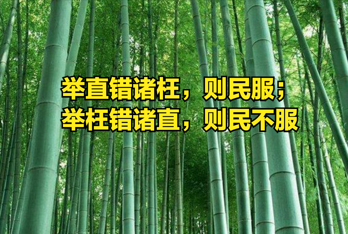 理解《论语》第二篇第19节-举直错诸枉,举枉错诸直是什么意思?