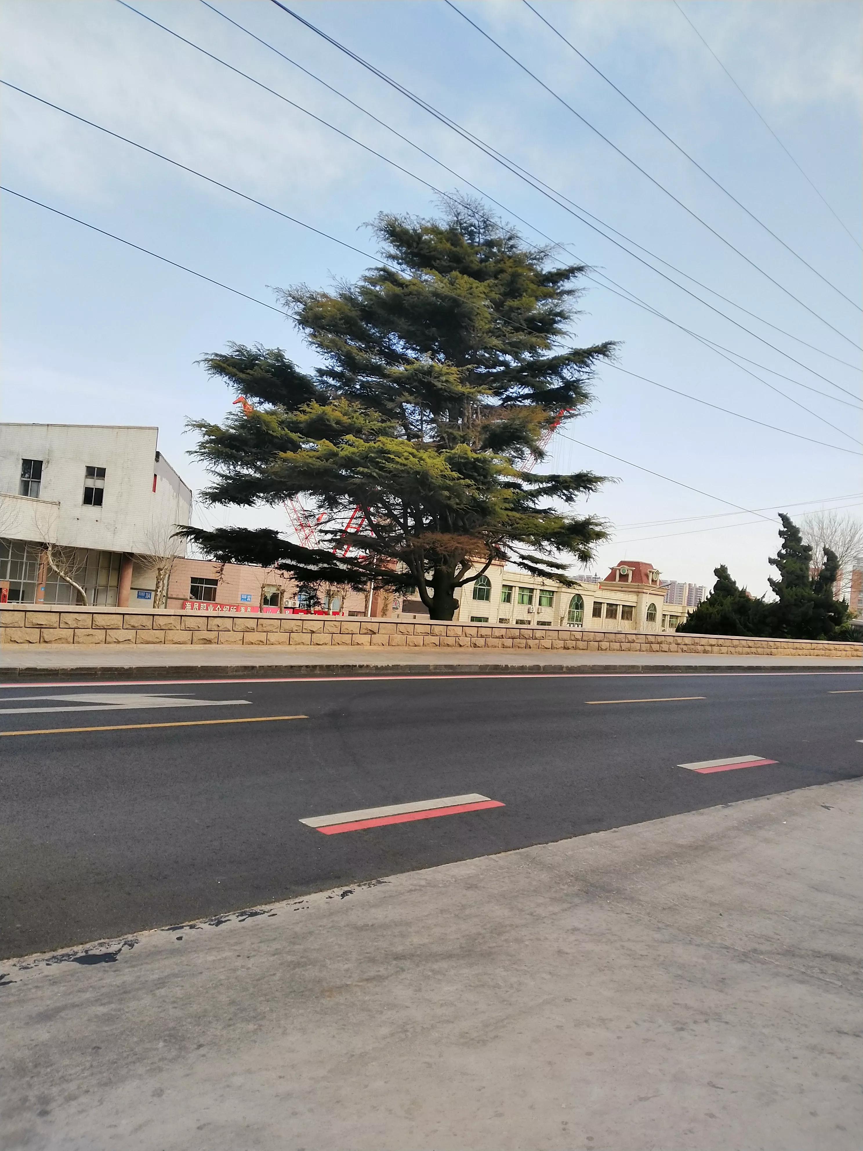 律师执业理念（批评与自我批评在律师行业的应用）