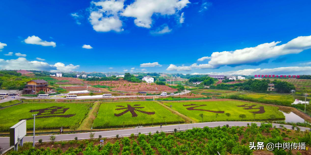 四川隆昌：茶山有春意 乡村旅游再升级