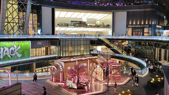 “冒险”投入值不值？OPPO Find X5 Pro首发评测，视频能力是重头戏