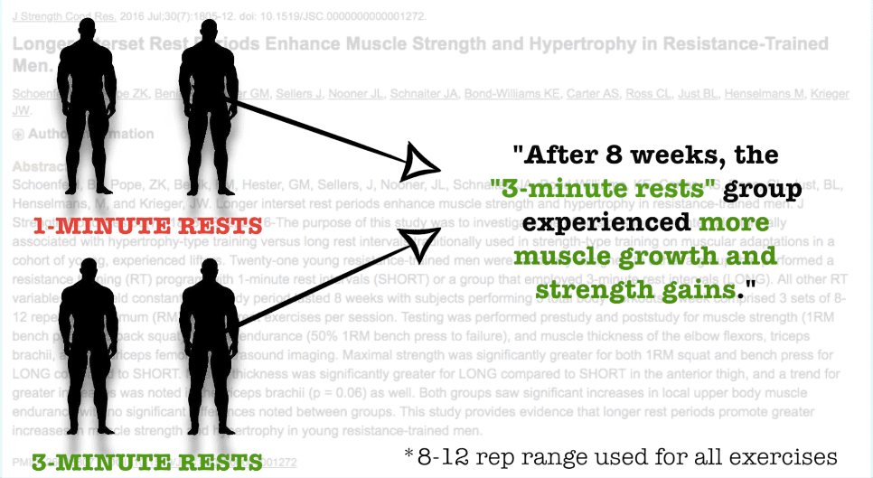 1分钟vs3分钟？组间休息多长时间才能最大程度增肌？