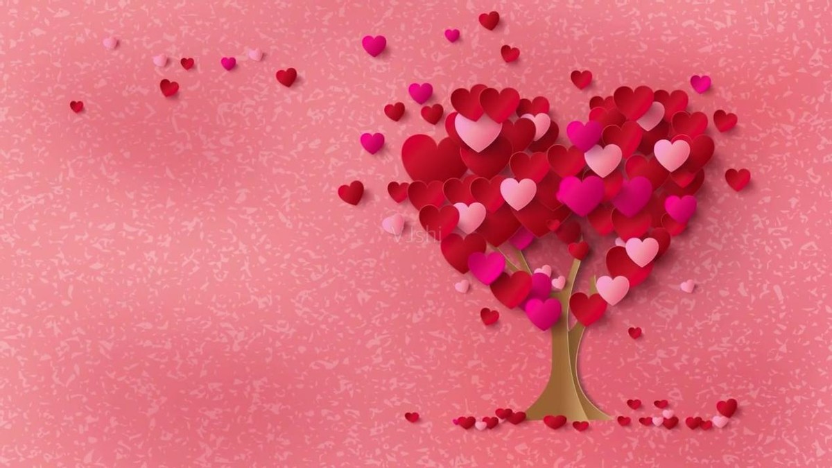 爱心筹款感动经典句子(爱心的句子经典语录)