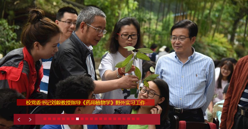 考研倒计时丨中药学硕士迎来高光时刻？四川热门高校有哪些？