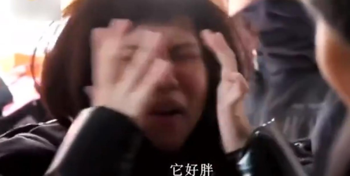 “一笑成名”谢依霖：凭借搞怪火遍两岸三地，一度成为小s接班人