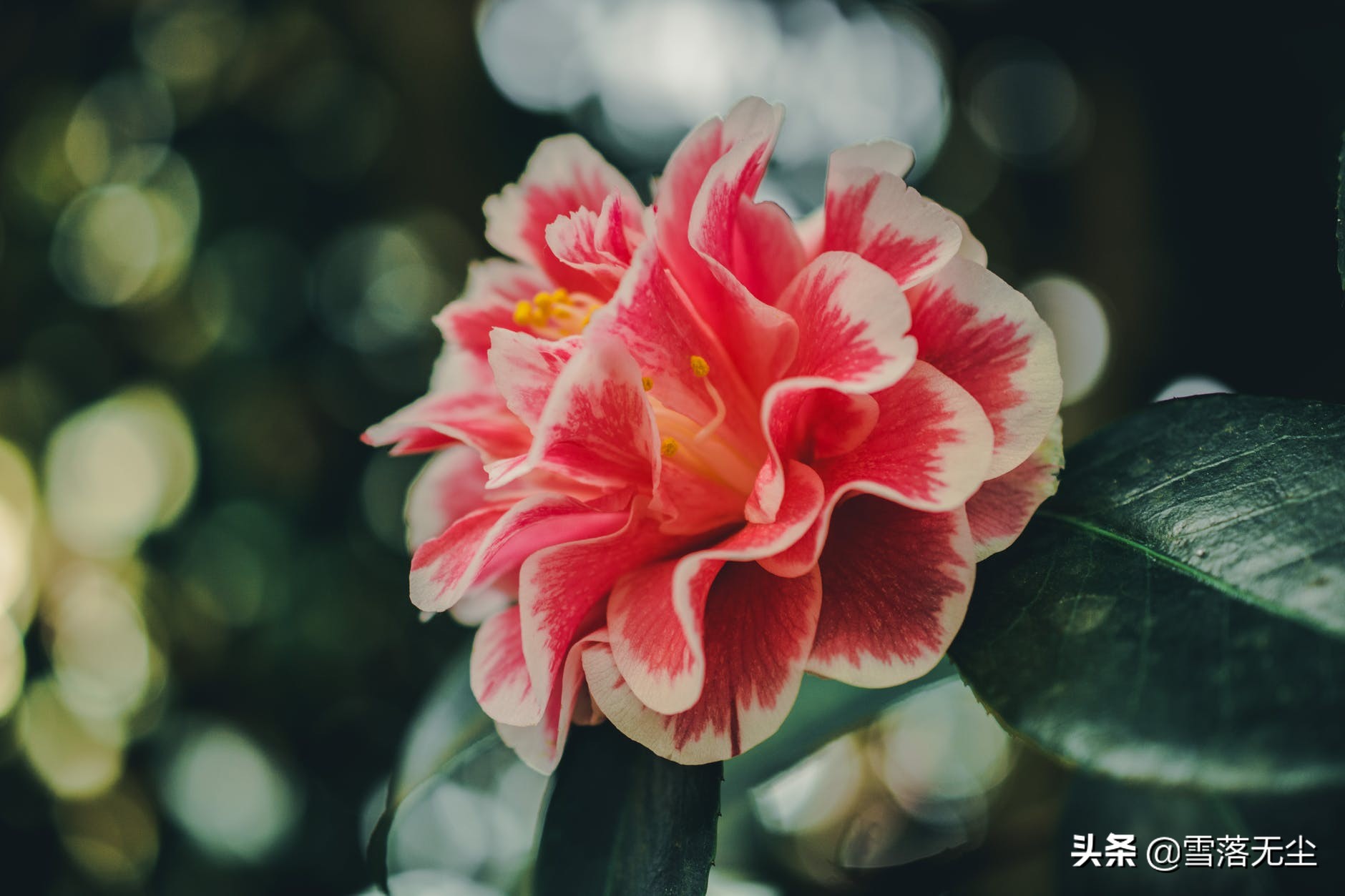 男人的钱，只愿意花给一种女人