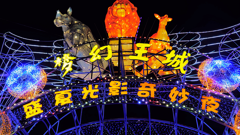 梦幻王城