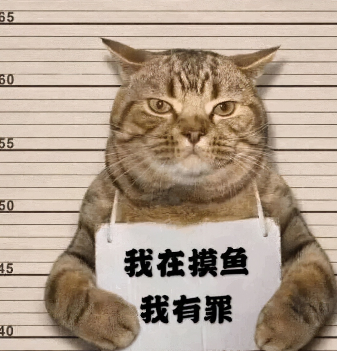 就算被开除，我也要吐槽一下工作周报