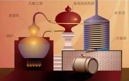 雅文邑和干邑，你怎么选
