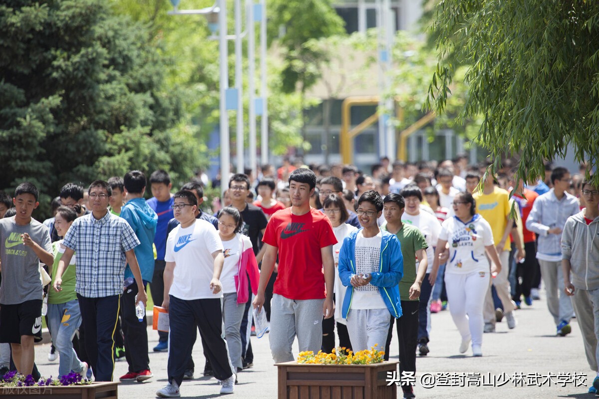 少林寺武术学校：毕业有5大出路！看完不走弯路