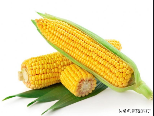 今年的玉米价格为什么会上涨那么多，是“谷贱伤农”调整了