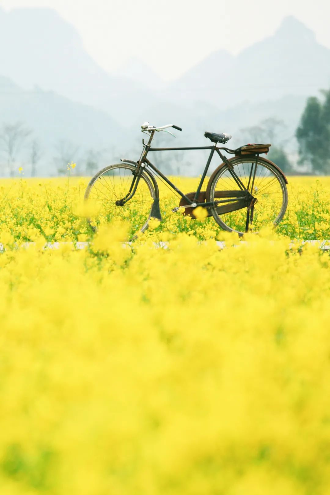 徐霞客在此住了54天，这里是四季花期永不过时的南宁“后花园”……