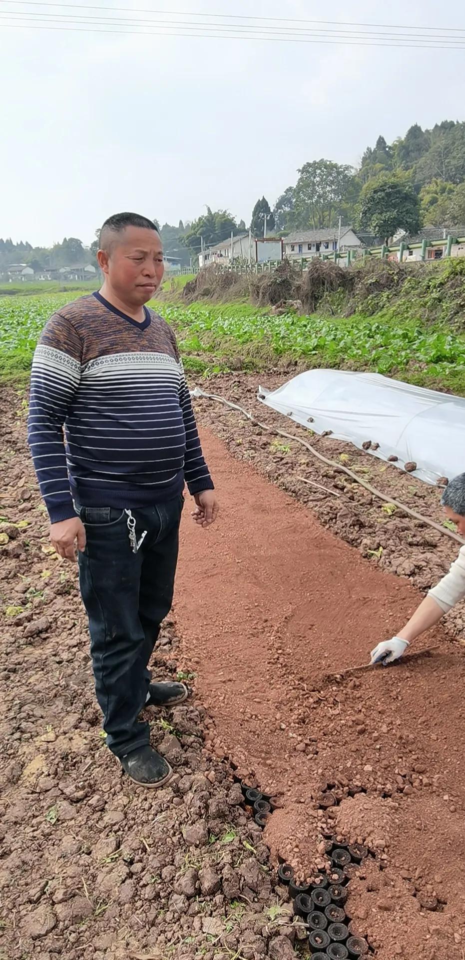 专家农事忙种地也挣钱