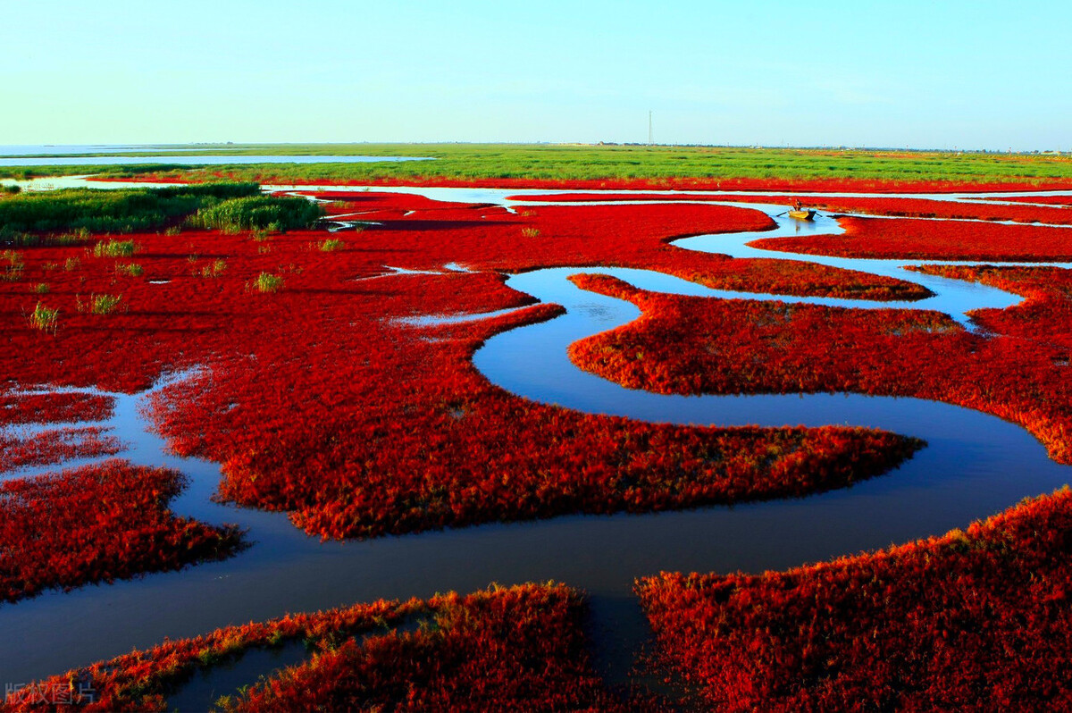 辽宁盘锦名片，风景如画的红海滩，你去过吗？