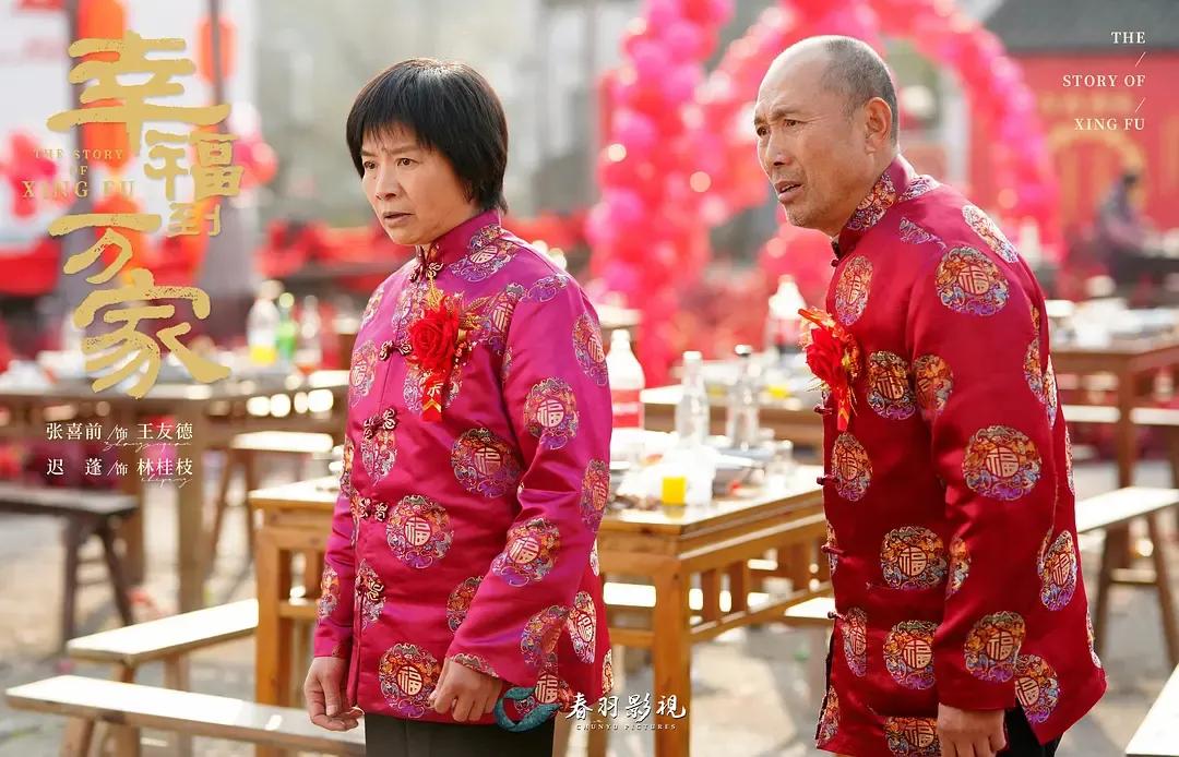 《幸福到万家》婆婆扮演者迟蓬，演技神了