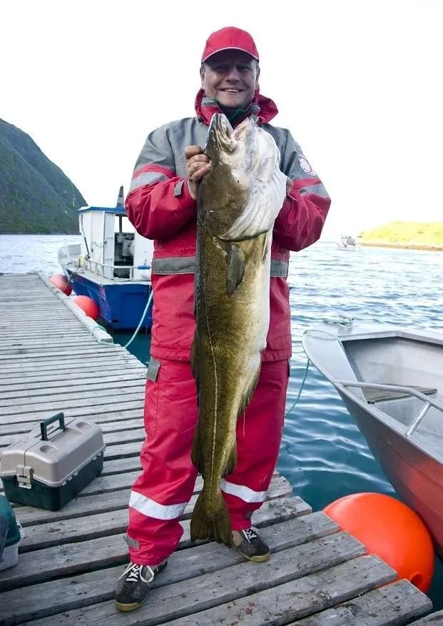 纽芬兰渔场，一座顶级渔场的覆灭