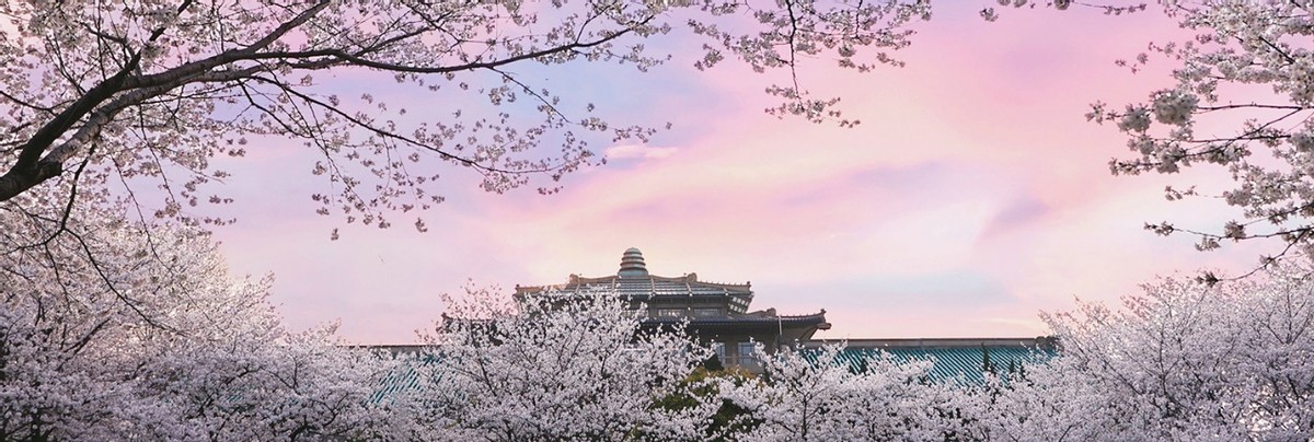 湖北“超美”大学：占地5195亩，宿舍6部电梯，坐拥26栋文物建筑和1000株樱花！