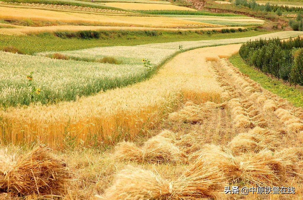 【心理健康】传世经典：16部心理学著作中的16个人性洞察