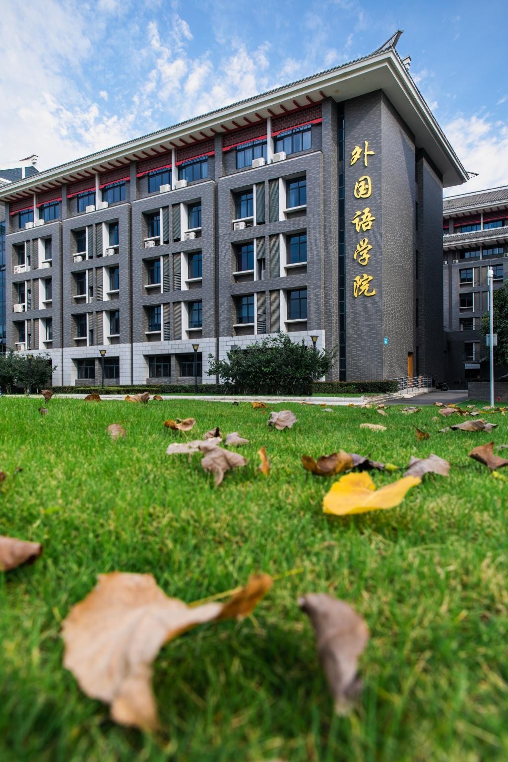 走出外交官、联合国译员，四川大学“硬核”学院：就业、深造率“双高”！