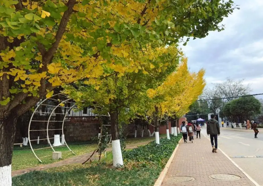 4大烟草公司，暂停对俄罗斯的业务，中国烟草：听我说谢谢你