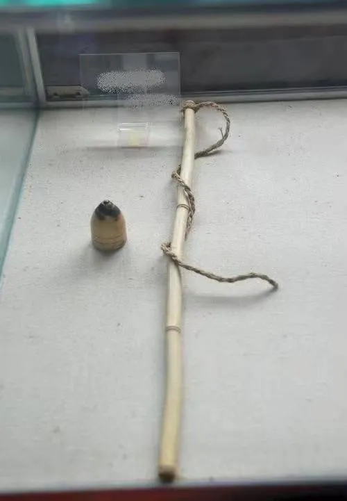这里是冬奥会临潭分会场