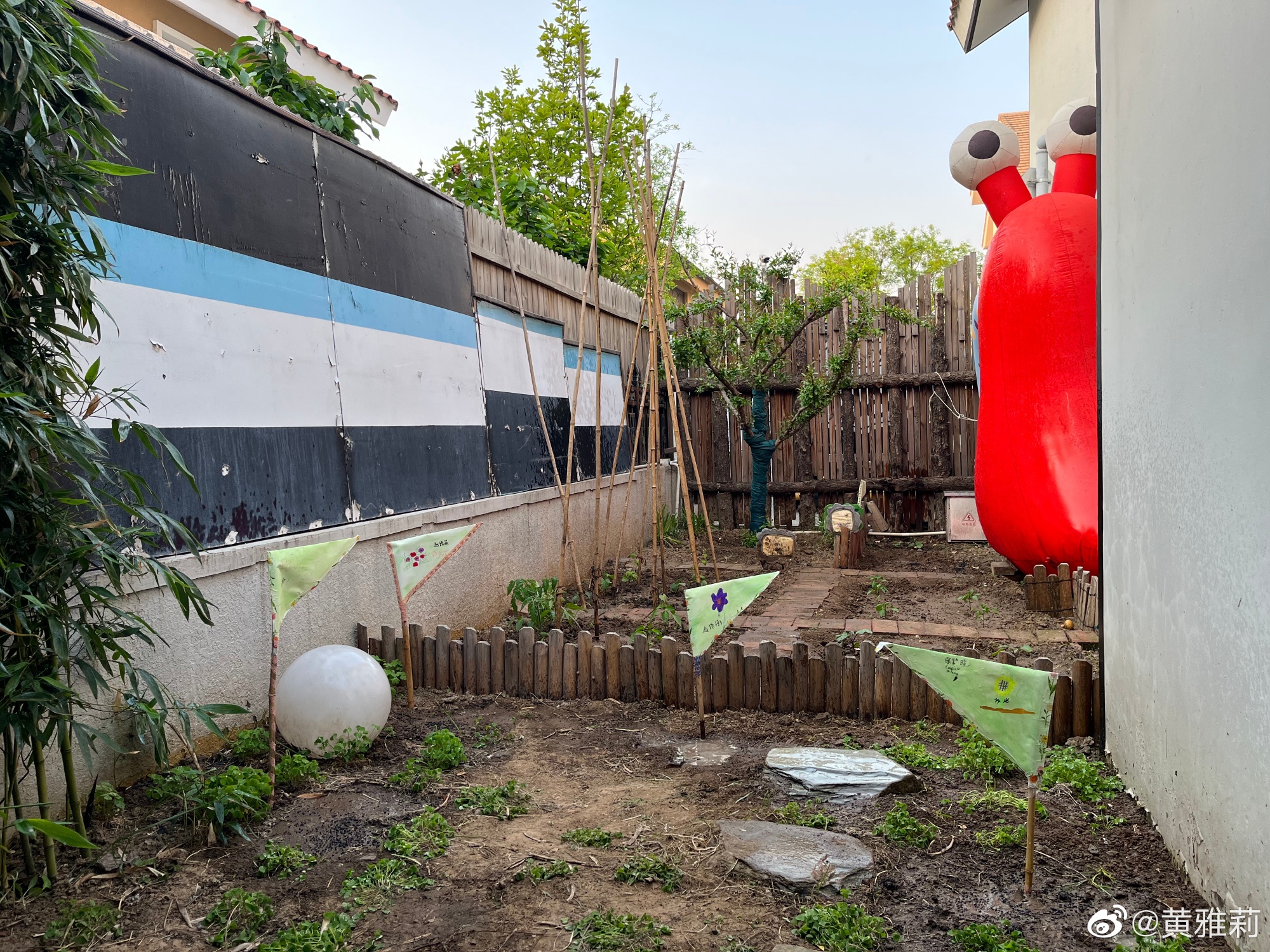 是女明星也是“菜农”！柳岩吃过刘亦菲种的茄子，张馨予家有农场