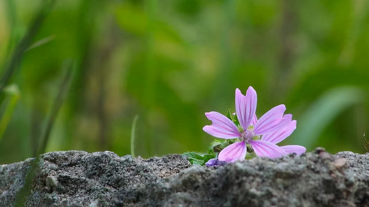 亲情的“等价交换”，最真实！别不信