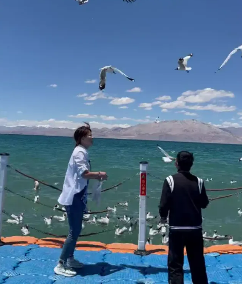 贫民窟女孩创业6年身价过亿，关掉公司陪七旬养父全国游，炒作？