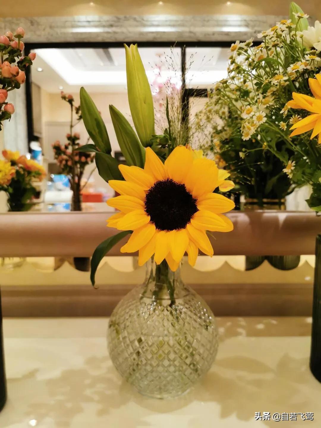 《朗读者》中董卿经典语录，每句都富含哲理