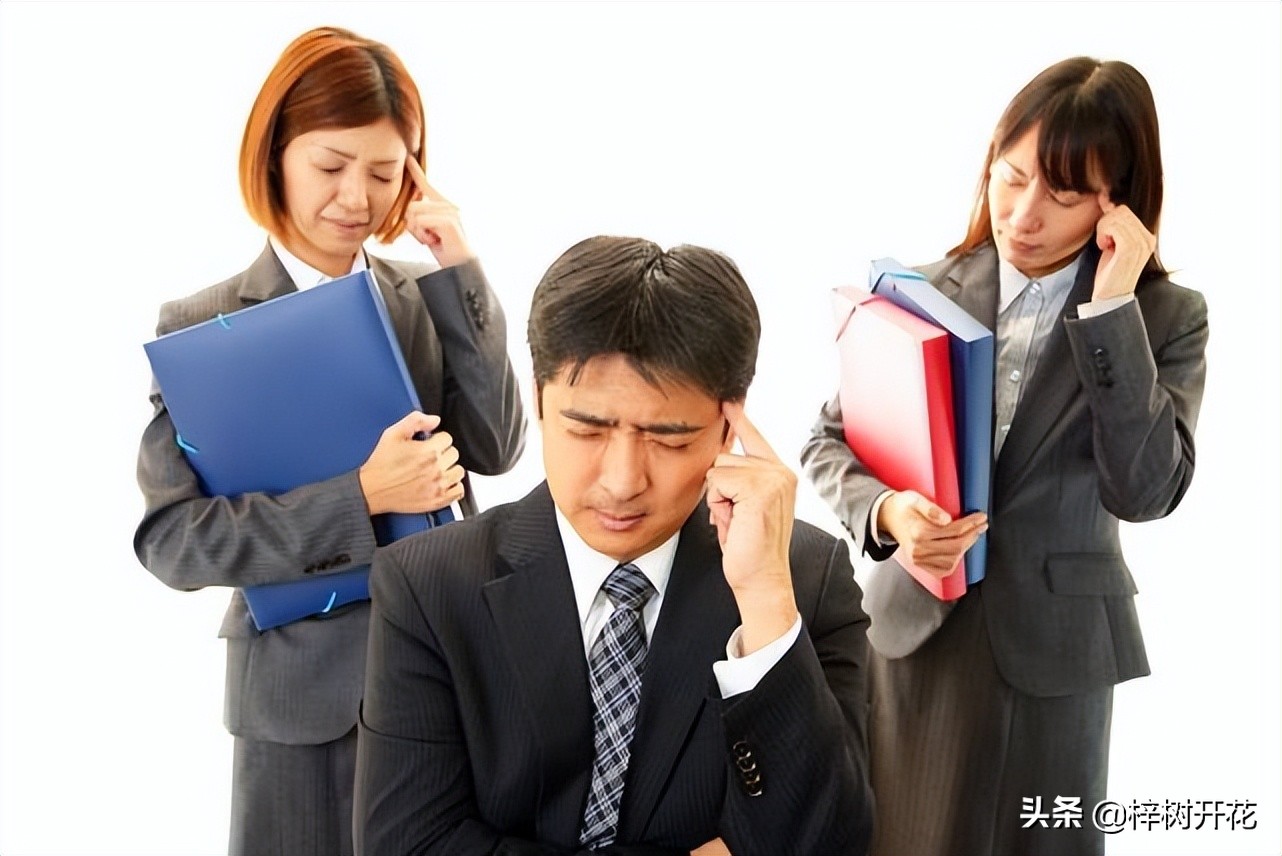 究竟什么才叫专业？“专业”是从哪些方面来判断或评估的？