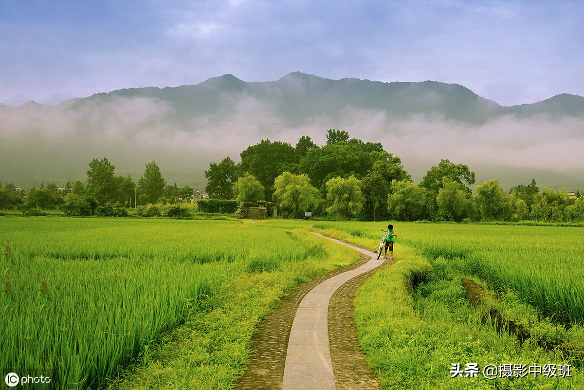 拍花的4個忌諱，攝影小白容易犯錯，正確拍法在后面
