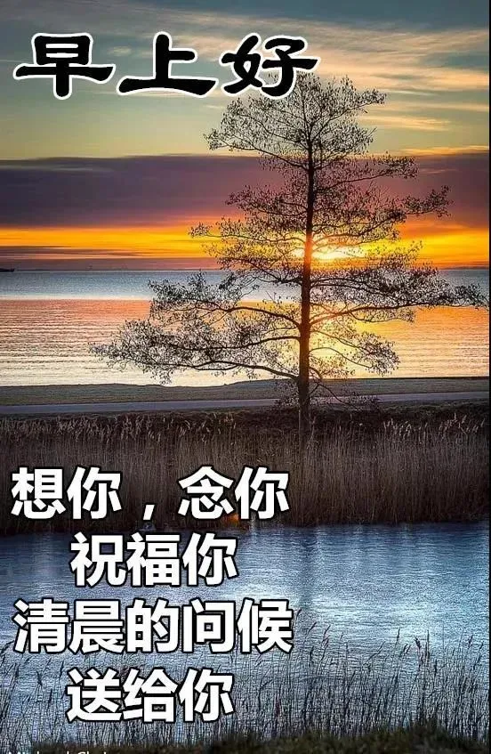 早安吉祥：把我的祝福融入你的笑容，这个冬天你会温暖，快乐