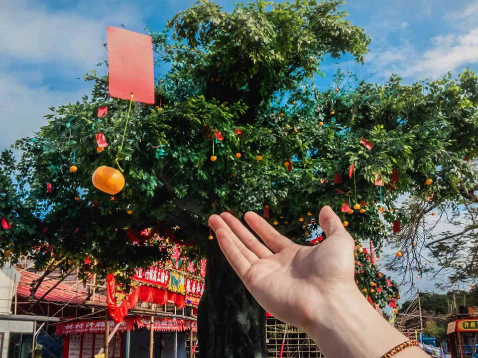 香港留学生「就地过年」怎么过？2022春节最强攻略快马住