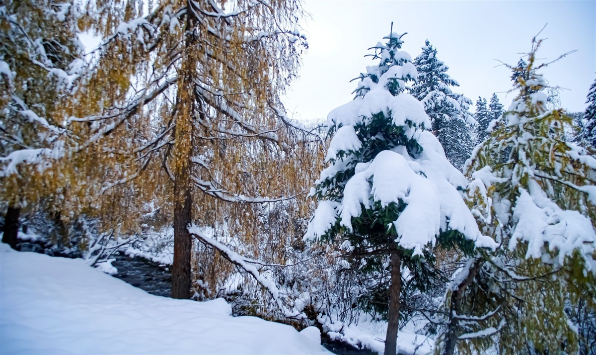 春雪飞舞兆祥瑞 诗词歌赋祝丰年