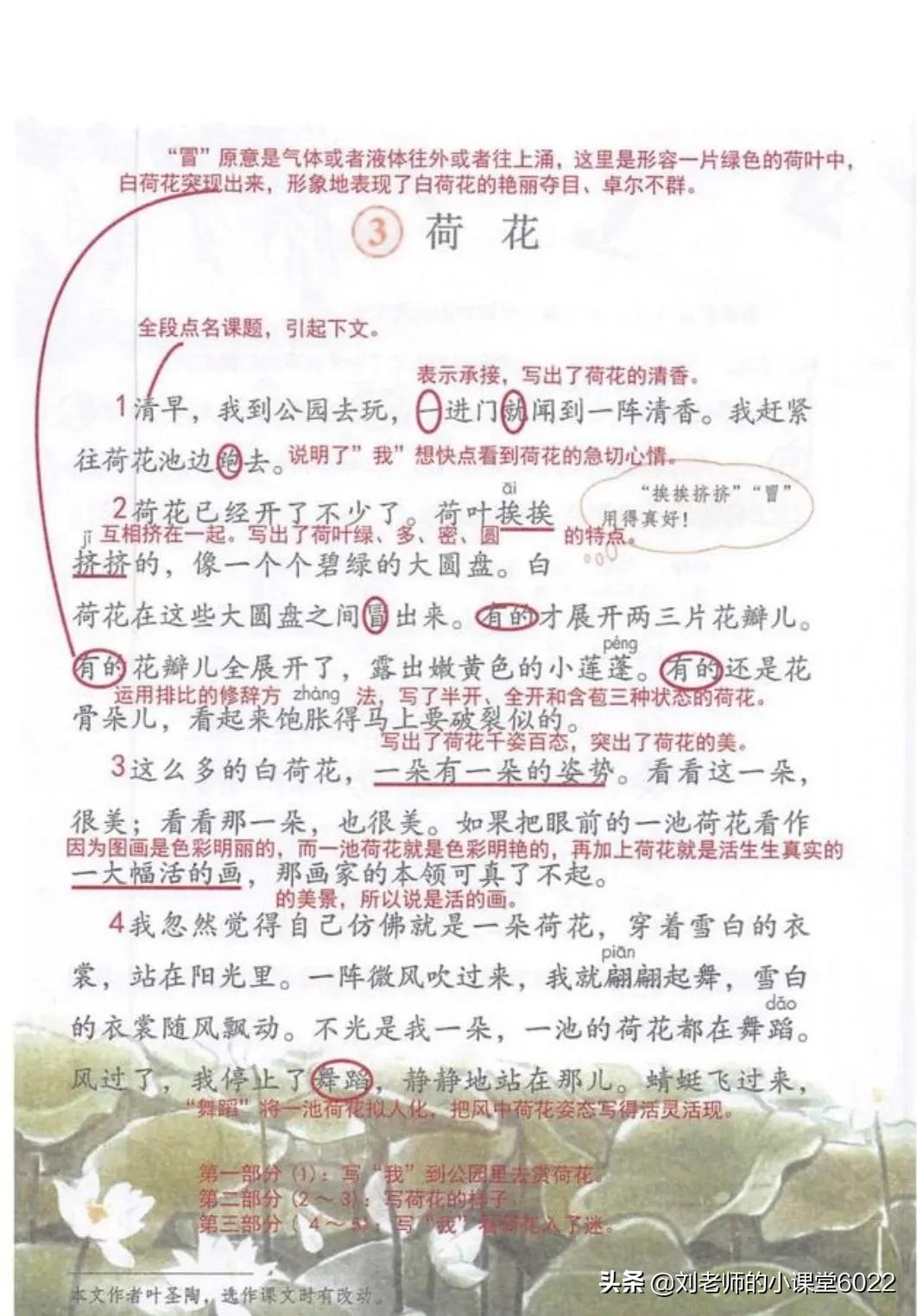 荷花盛开的池塘里，粉色花瓣随风轻舞，绿叶如伞撑开在水面上。