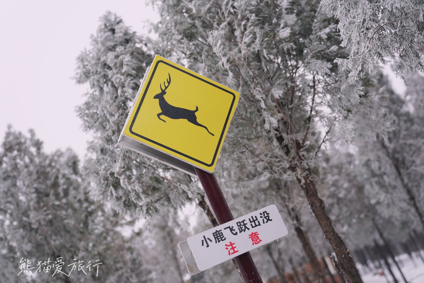 跨年春节遛娃好去处，郑州伏羲山云上牧场喂小鹿嗨玩冰雪