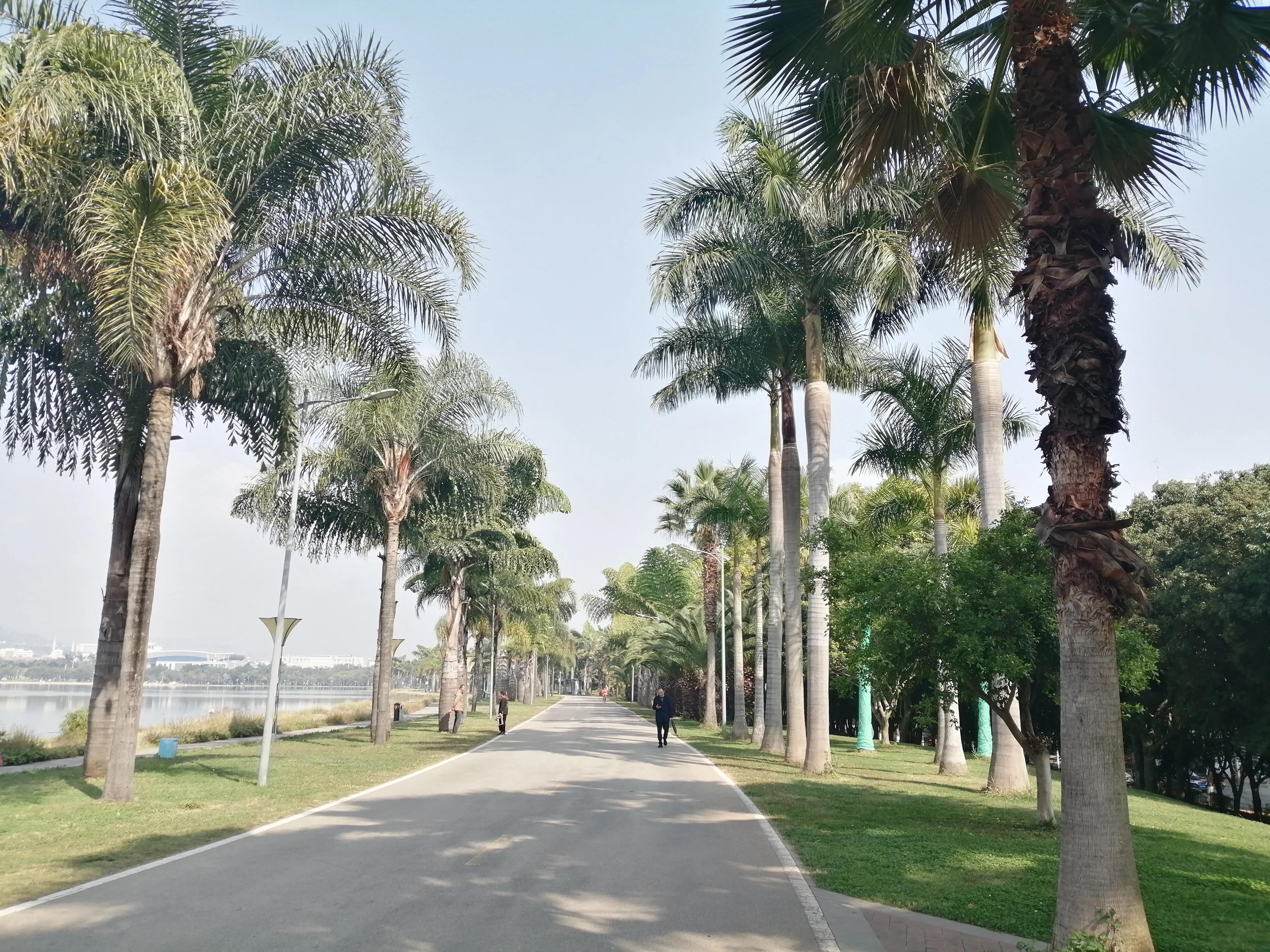 2021年的云南旅行旅居总结